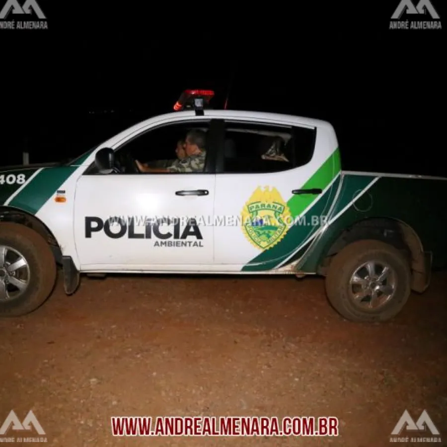 Polícia Ambiental mata rapaz em propriedade particular em Maringá