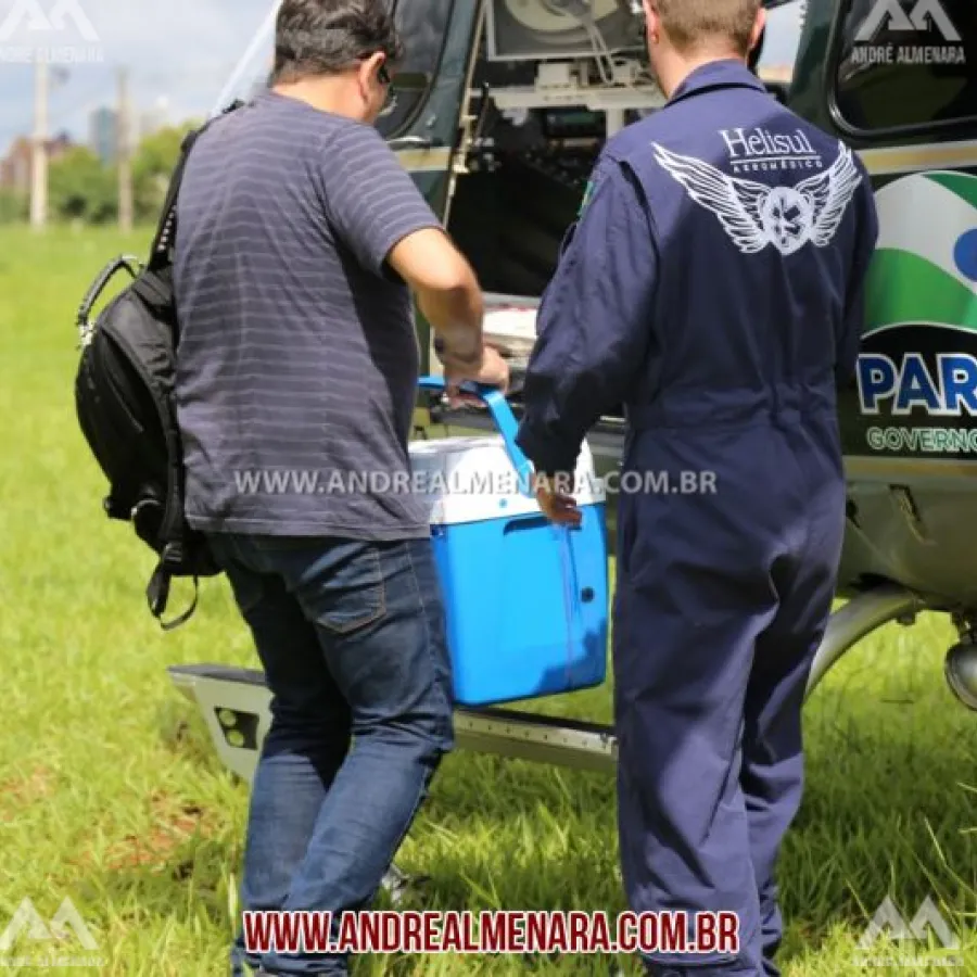 Helicóptero do Samu transporta órgão de Maringá para Cascavel