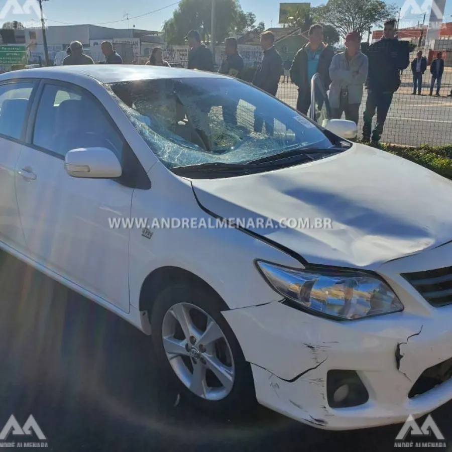 Idoso atropelado por carro na rodovia de Mandaguaçu morre no hospital