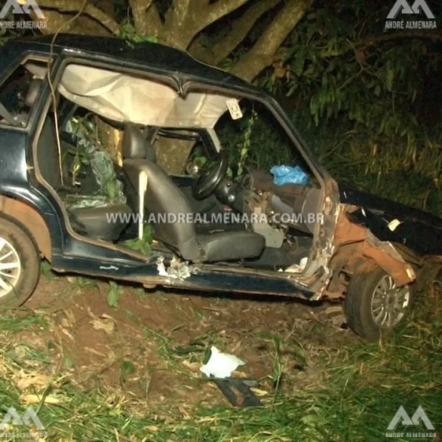 Motorista morre na hora após bater carro na estrada de Pulinópolis