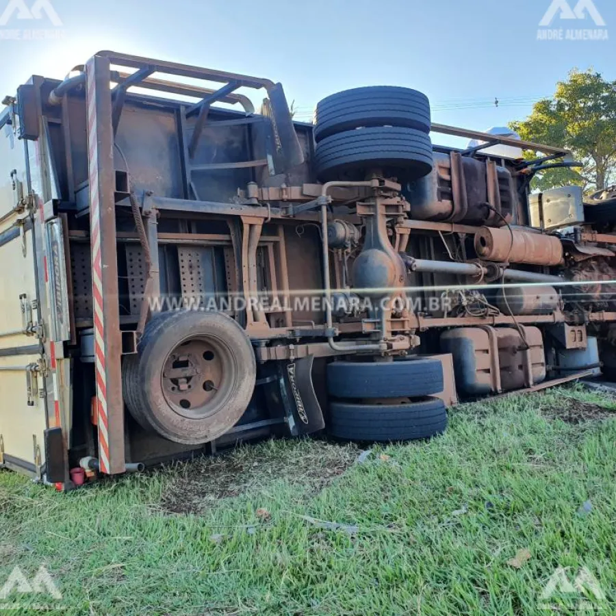 Caminhão carregado de carne tomba em Maringá
