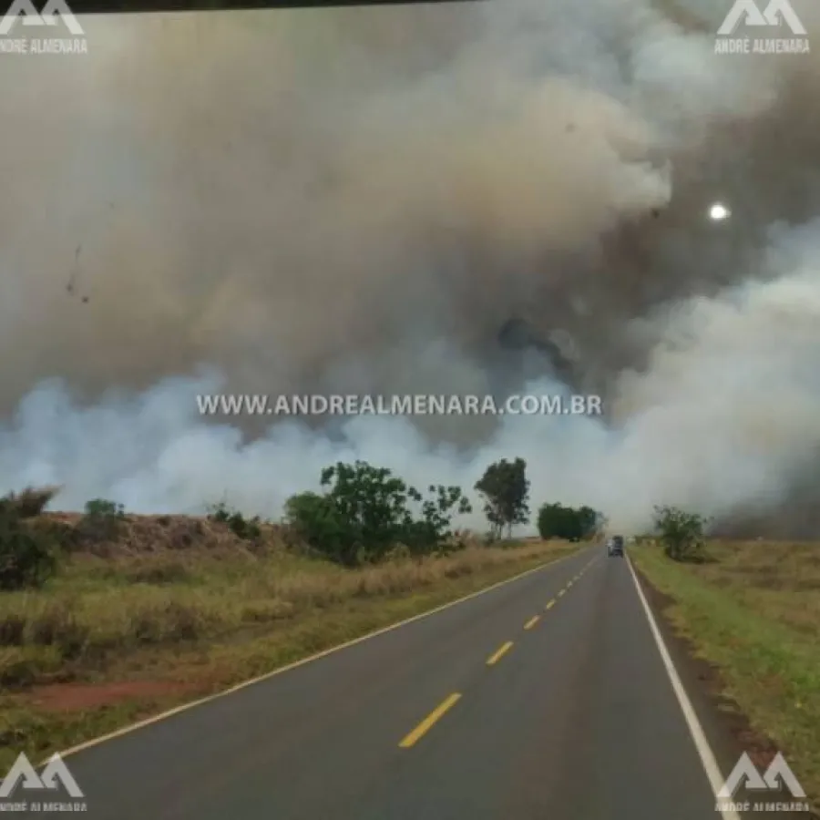Homem morre queimado em incêndio em vegetação na região de Maringá