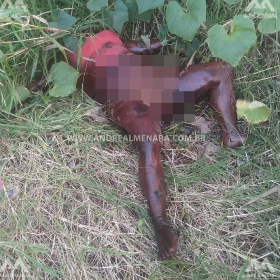Mulher é encontrada morta em fundo de vale em Maringá