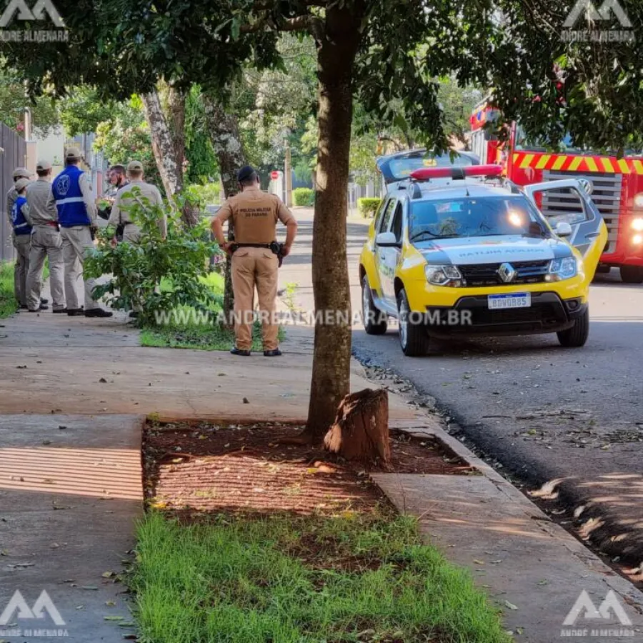 Artefato explosivo é encontrado em frente da emissora RPC TV de Maringá