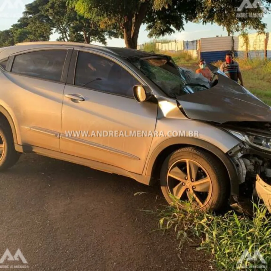 Motorista sofre acidente grave ao bater automóvel em árvore na cidade de Marialva