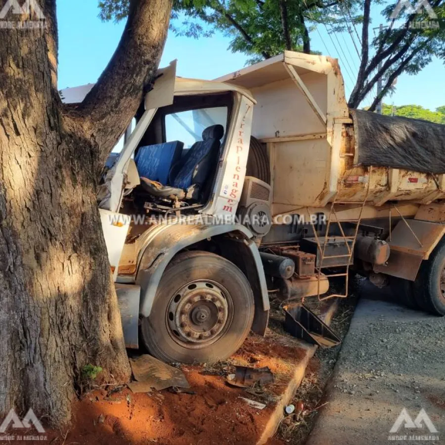 Motorista perde controle de caminhão e bate contra árvore