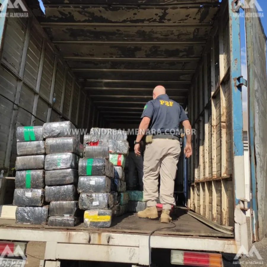 Polícia Rodoviária Federal apreende mais de 1 tonelada de maconha em Maringá
