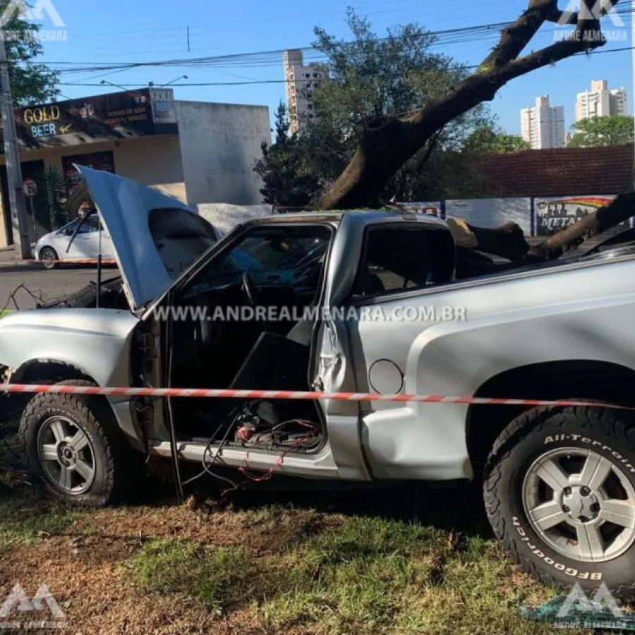 Motorista de camionete fica ferido ao bater contra árvore na Avenida Laguna