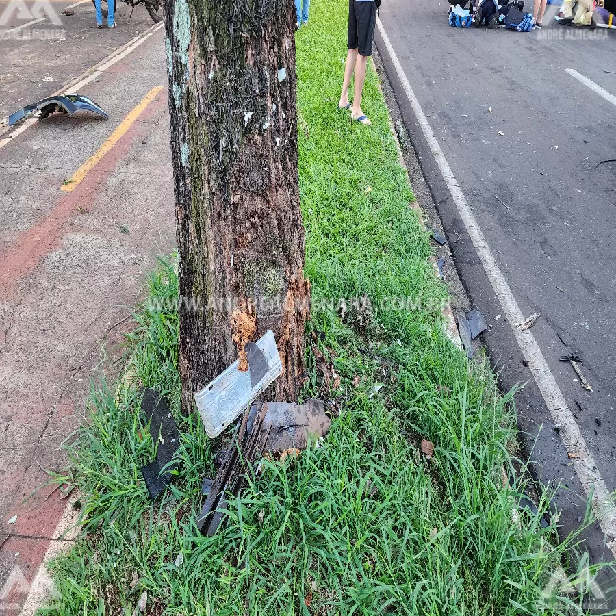 Seis pessoas ficam feridas após bater carro contra uma árvore na Avenida Mandacaru