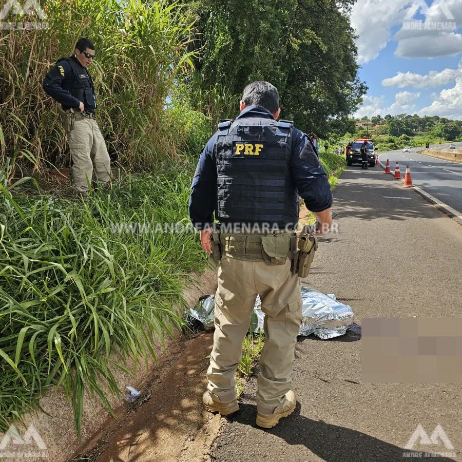 Homem de 47 anos morre ao ser atropelado por veículo na rodovia de Mandaguaçu