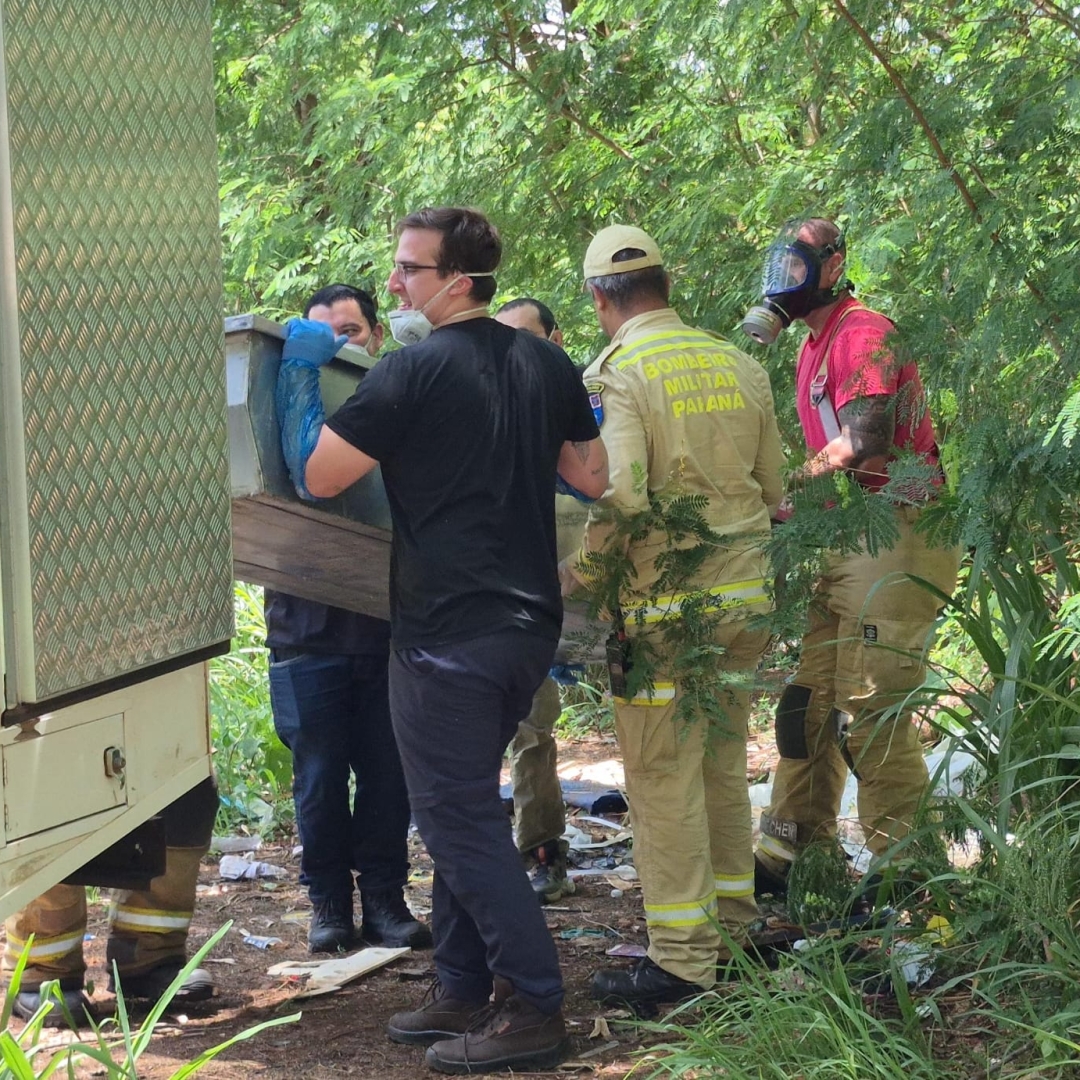 Corpo de homem em estado de putrefação é encontrado em mata