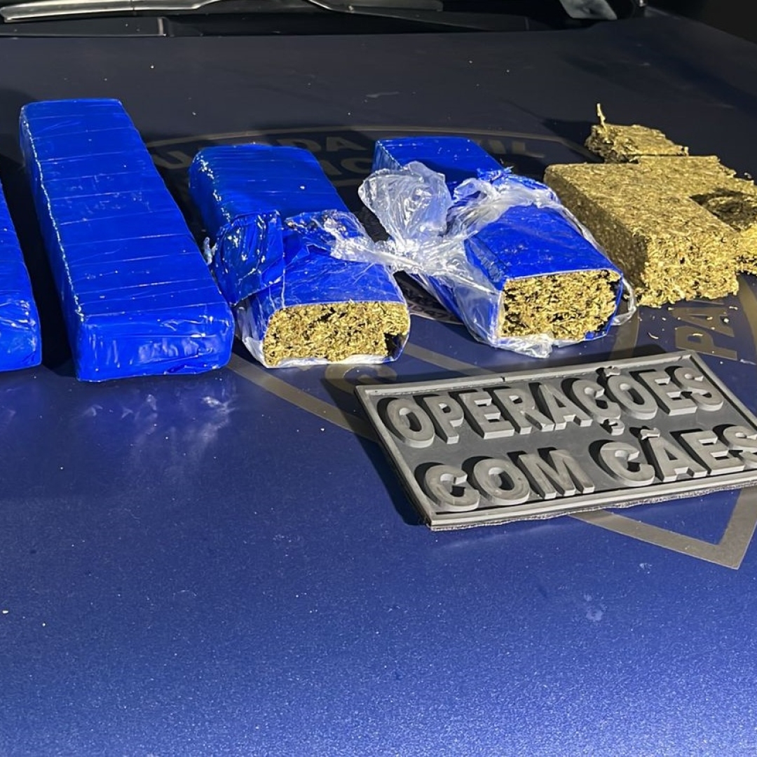 Motorista abandona carro e tabletes de maconha ao se envolver em acidente