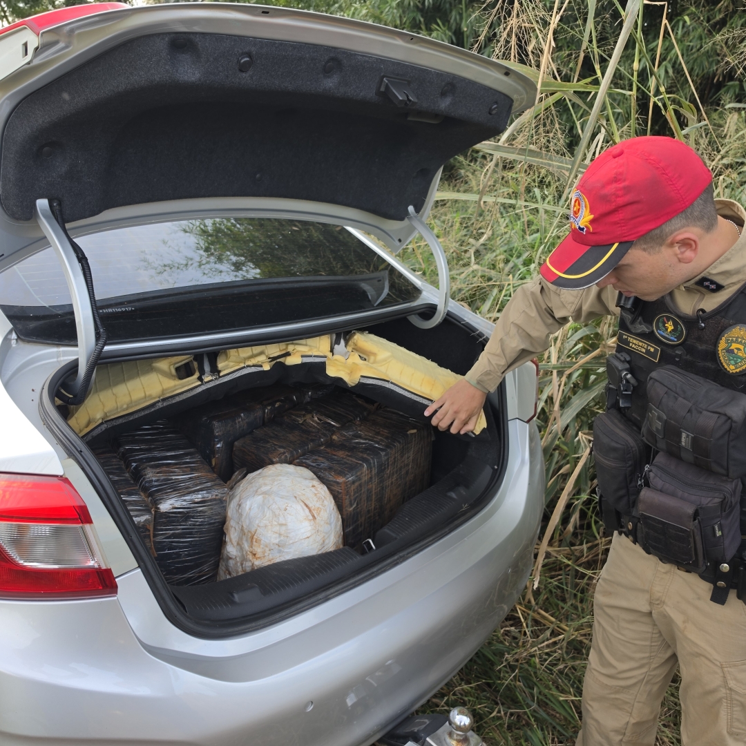 Motorista foge da polícia, abandona carro em milharal e deixa carga milionária de drogas
