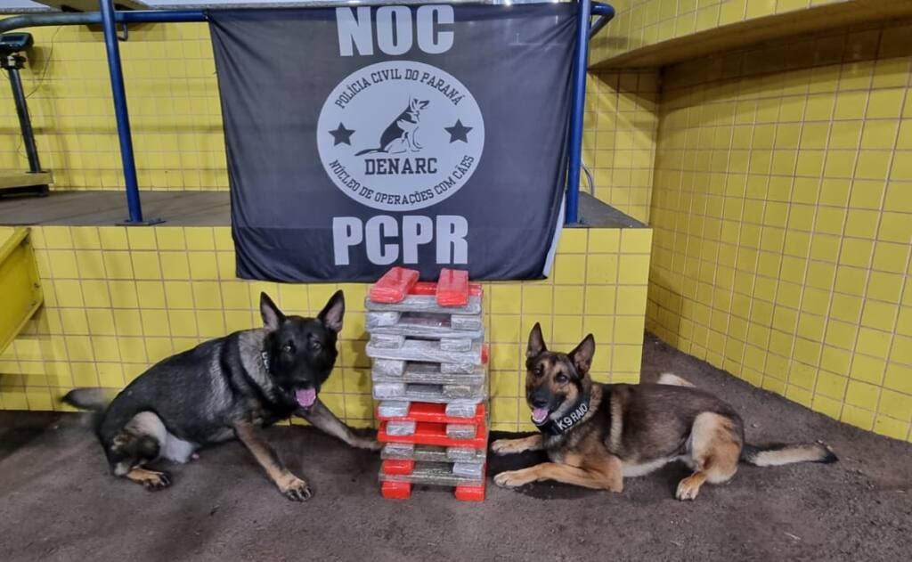 Criança de 10 anos é atropelada ao atravessar a rua