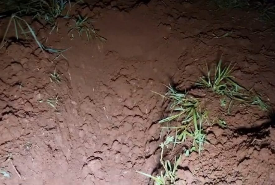 Corpo de travesti é encontrado próximo de uma cova rosa na cidade de Sarandi